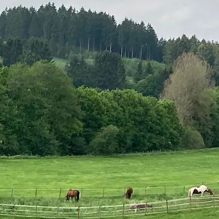 Ferienhaus Landliebe - Familienurlaub In Der Eifel Holiday home *